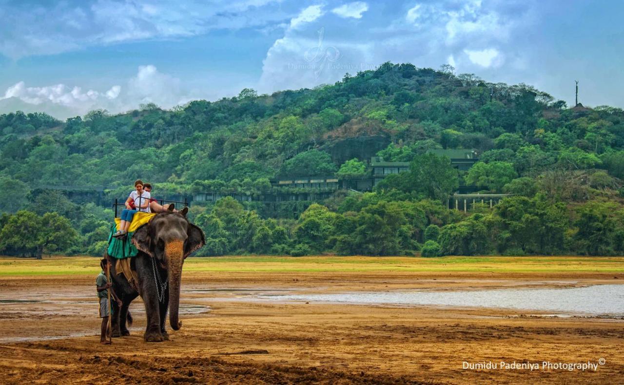 Simoya Nature Park Dambulla Exteriér fotografie